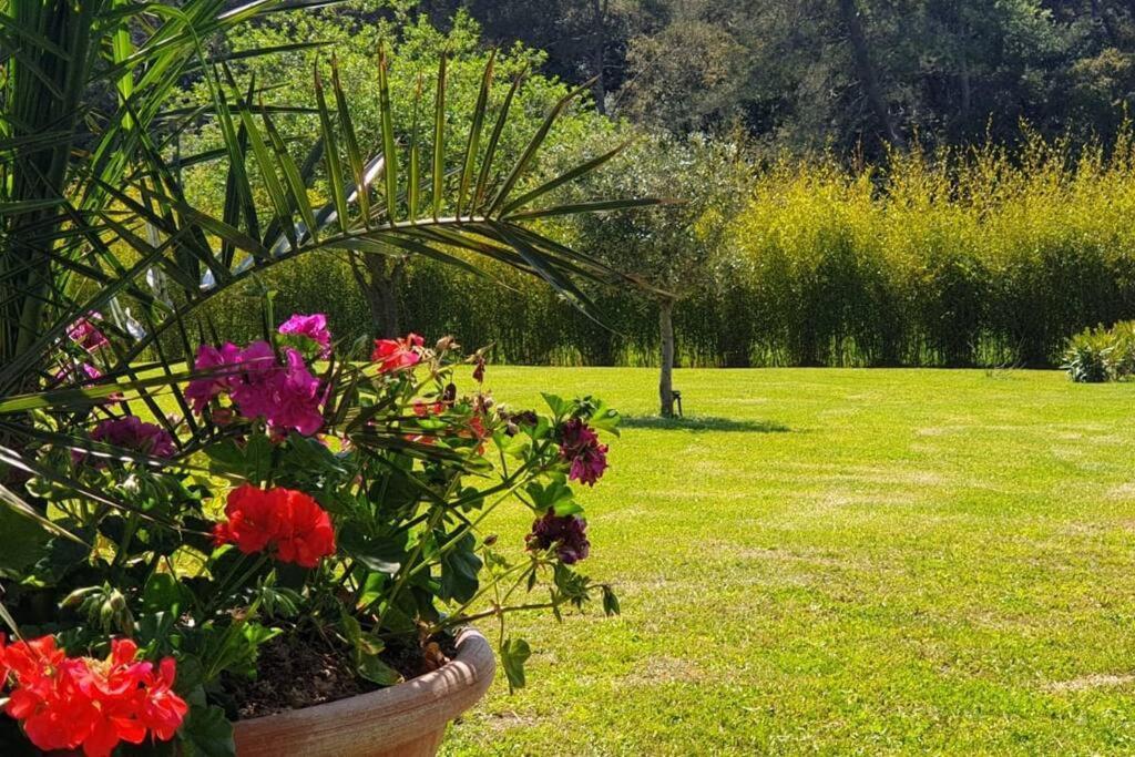 Les Prairies De Fenestrelle Spa & Piscine Au Calme Aubagne Luaran gambar