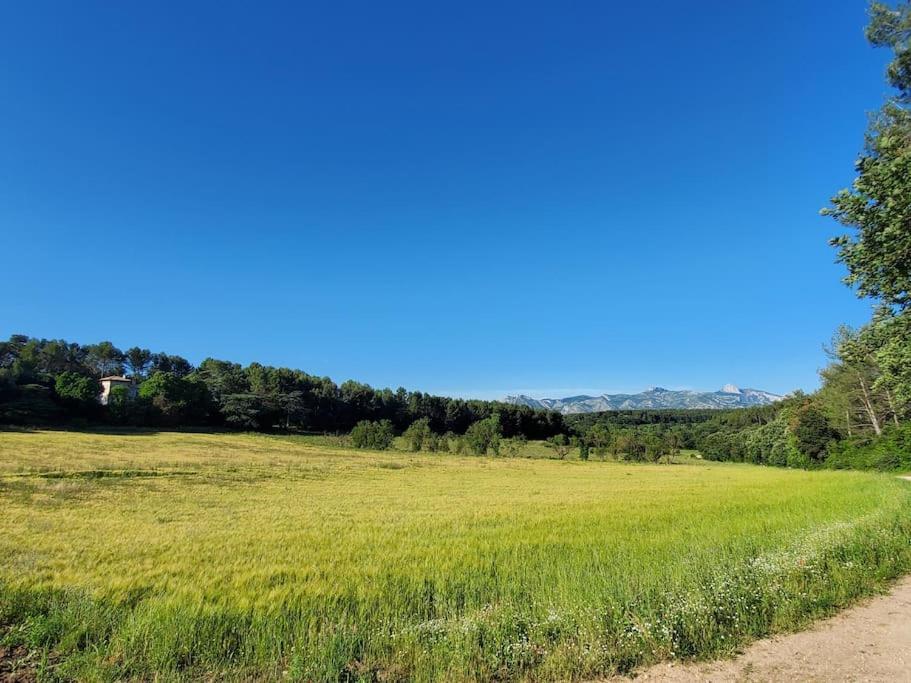 Les Prairies De Fenestrelle Spa & Piscine Au Calme Aubagne Luaran gambar