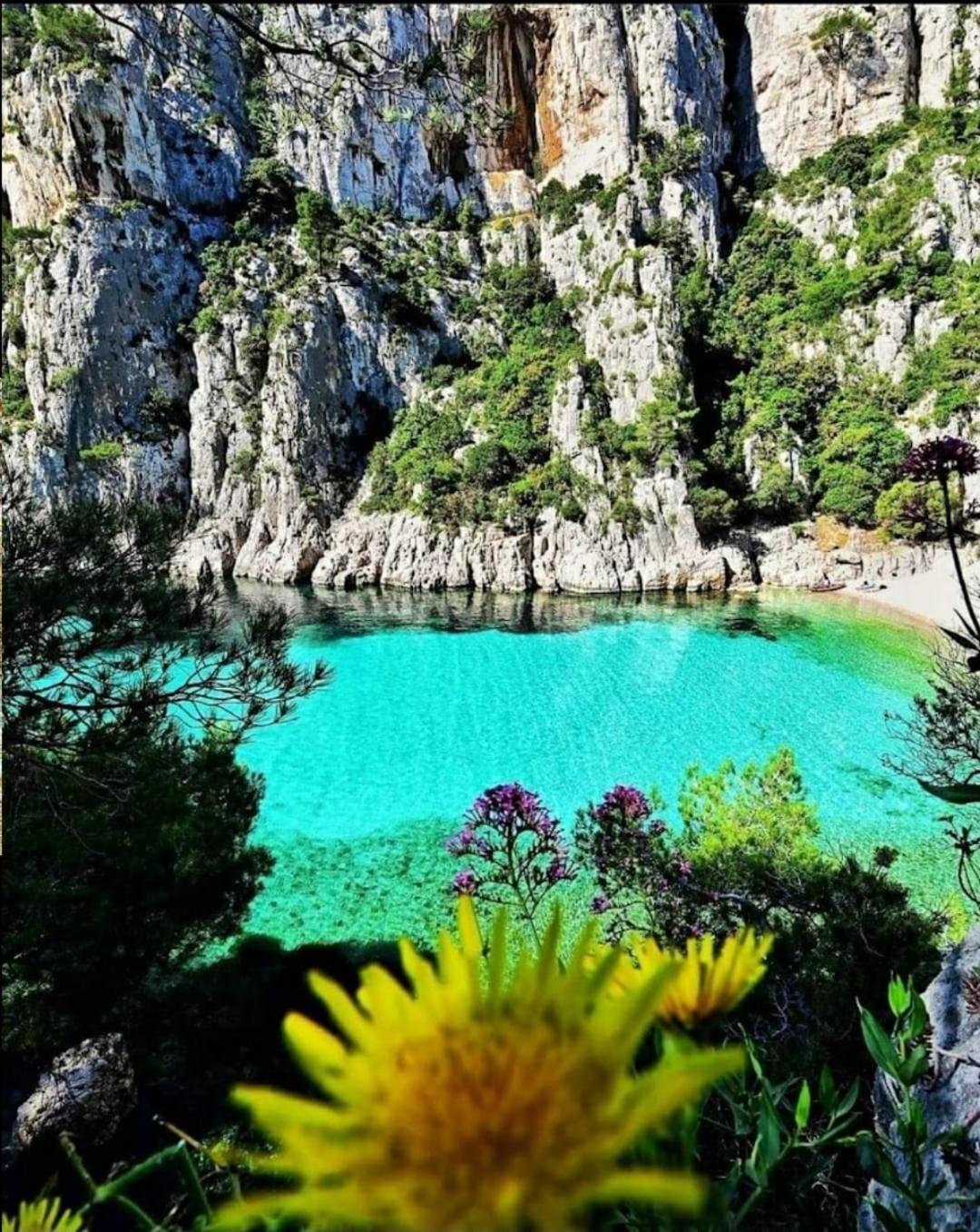 Les Prairies De Fenestrelle Spa & Piscine Au Calme Aubagne Luaran gambar
